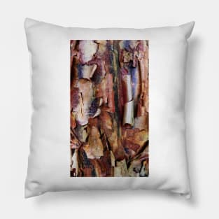 Natural Abstract (paperbark maple tree detail) Pillow