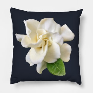 Gardenia Close-up Pillow