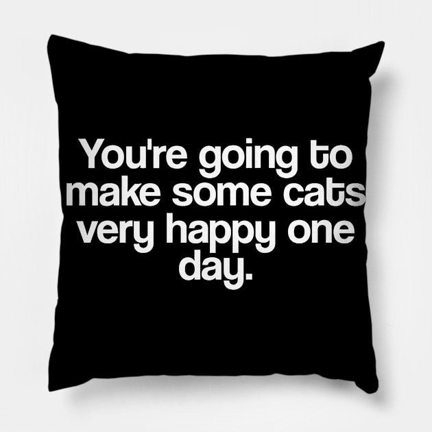 Your'e going to make some cats very happy one day Pillow by Jhonson30