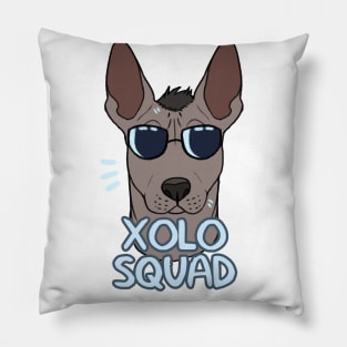 XOLO SQUAD Pillow