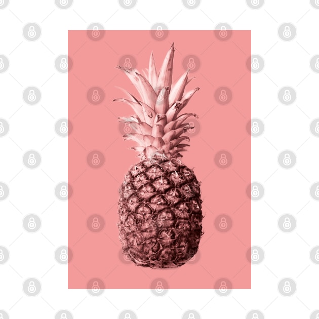 Pineapple 04 by froileinjuno