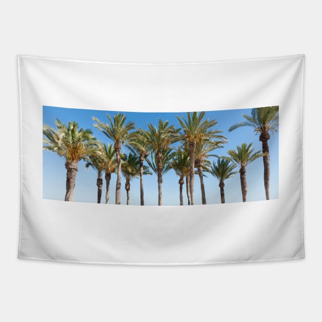 Row of tropical feeling palm trees against blue sky with luch green fronds. Tapestry by brians101