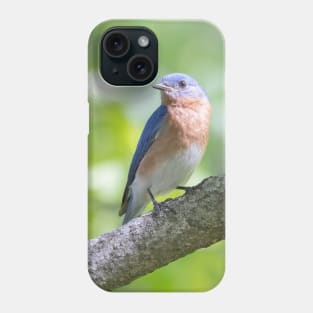 Eastern Bluebird on a nice summer day Phone Case