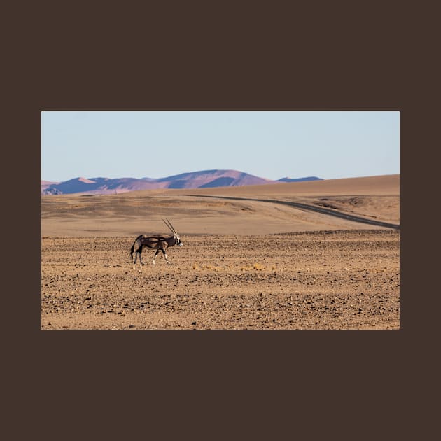 Gemsbok walking on the sandy plain. by sma1050