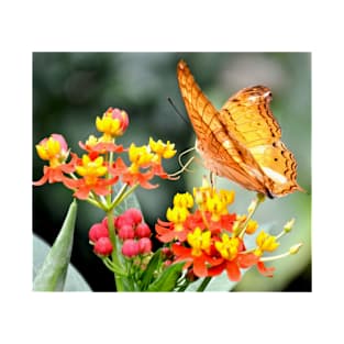 Orange Butterfly on Tropical Lantana Flowers T-Shirt