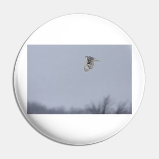 Snowy owl...high above the treetops Pin