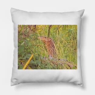 SALVATOR SAVANNAH Pillow