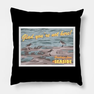 Greetings from the Seaside Pillow