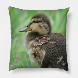 Duckling Pillow