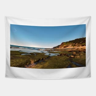 Otter Crest Beach Oregon Tapestry