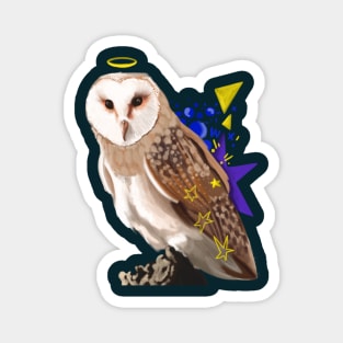 Holy Realistic Barn Owl With Stars Magnet