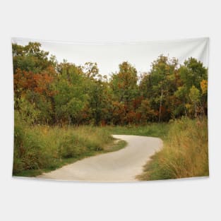 Nature Path No.2 Tapestry