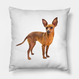 Miniature Pinscher Red Cute Puppy Dog Pillow