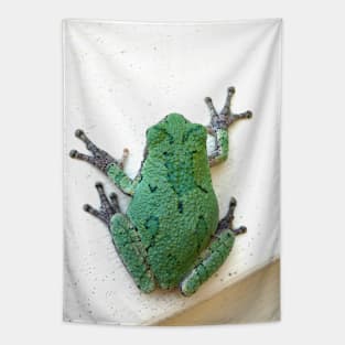 Tree Frog *on house Tapestry