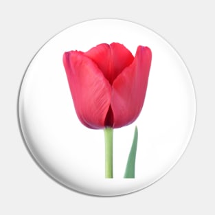 Tulip Pin