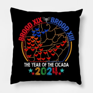 Cicada Brood USA Map Tsunami Bugs Brood XIX Brood XIII 13 Year Of The Cicada 2024 Pillow