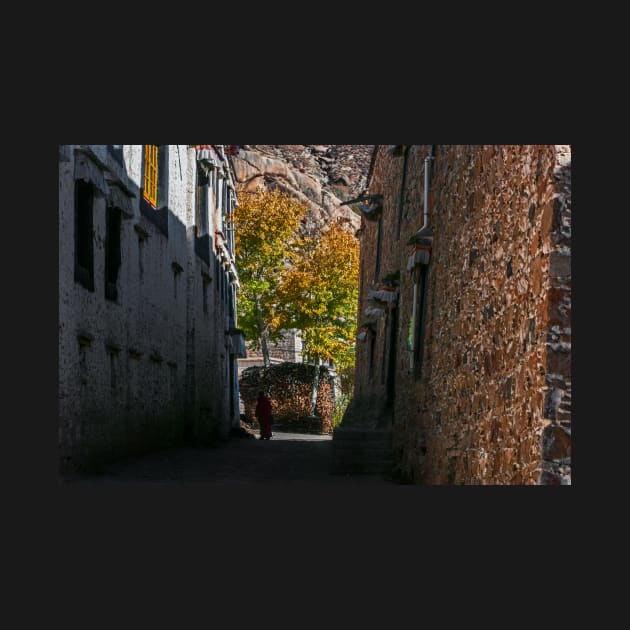 Alley. Sera Monastery, Tibet. by bulljup