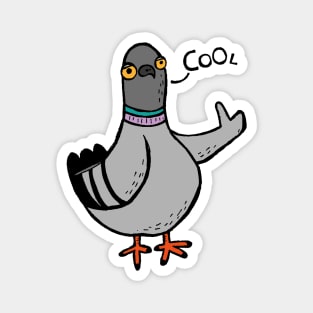 Coo / Cool Pigeon Magnet