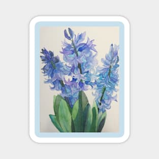 Three blue hyacinths watercolour painting Magnet