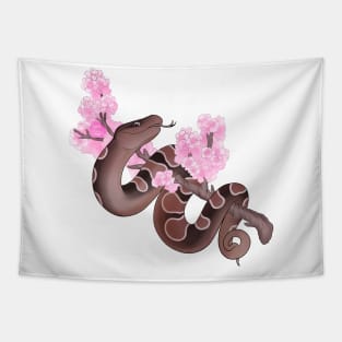 Pink Sakura Ball Python: Brown Tapestry