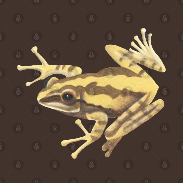 Golden Tree Frog :: Reptiles and Amphibians by Platinumfrog