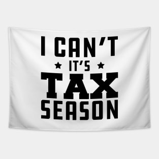 Tax Accountant - I can't It's tax season Tapestry