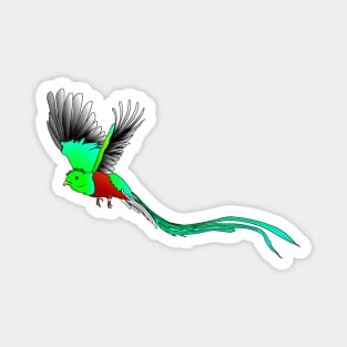 Quetzal sacred bird Magnet