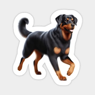 Beauceron Magnet