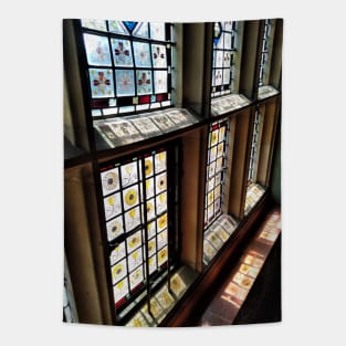 Light through a stain glass window - Cragside House, Northumberland, UK Tapestry