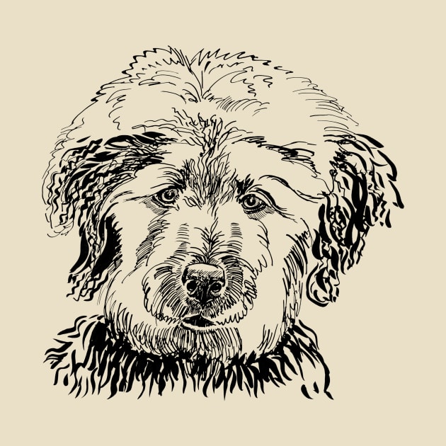 labradoodle portrait by VicaVeresk