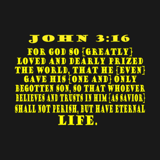 John 3:16 T-Shirt