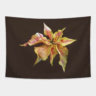 Poinsettias - Fancy Pink and Yellow Poinsettia Tapestry