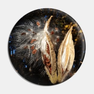 Seed pods for next year - Nature self planting - gift for nature lover Pin