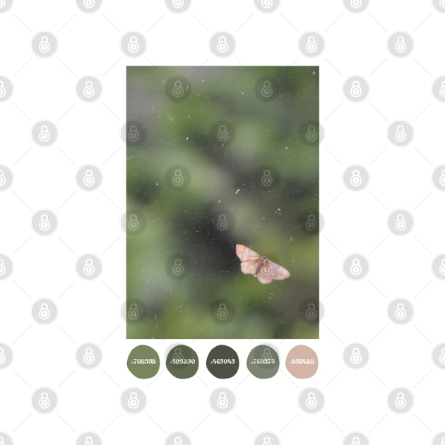 Moth on a Dirty Window Color Palette [Dots] by tessiaphoto