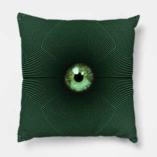 Pupil Pillow