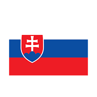 Slovakia flag T-Shirt