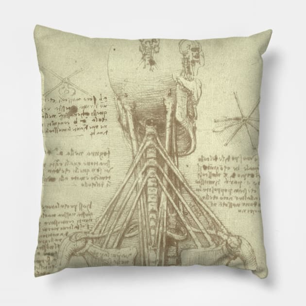 Human Anatomy Spinal Column by Leonardo da Vinci Pillow by MasterpieceCafe