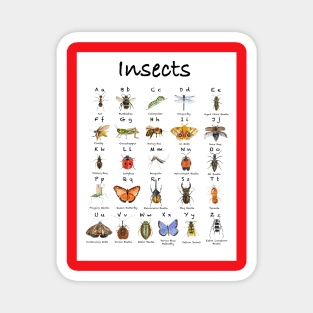 ABC Insects Magnet