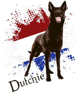 Dutch Shepherd - Dutchie Magnet