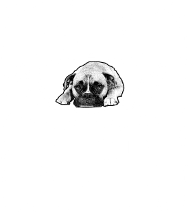 tell me its just a dog and i will tell you that yours just an idiot Magnet