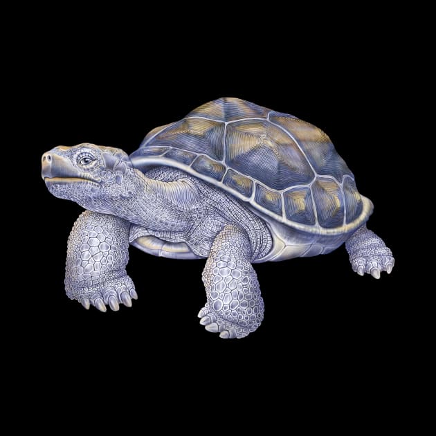 Tortoise by Tim Jeffs Art