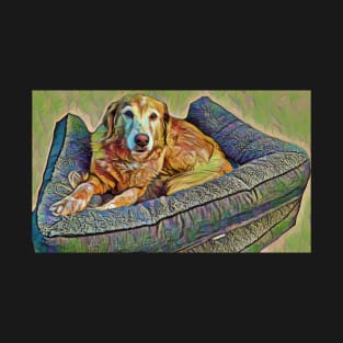 Golden Retriever Chillin T-Shirt