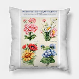 Flower watercolor illustration (1915) Pillow