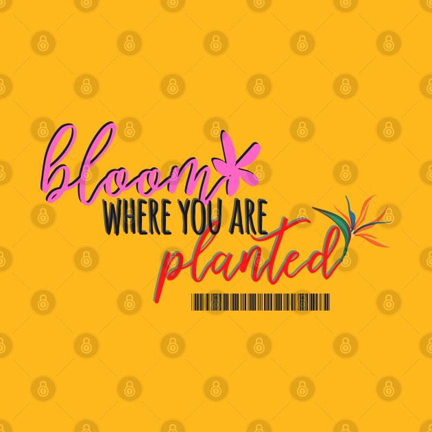 Bloom where are you planted by stylishkhan