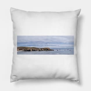 Pelican Race Pillow