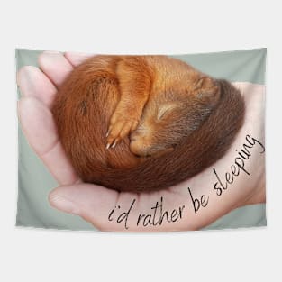 I'd rather be sleeping, cute squirrel Tapestry