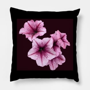 Pink Petunia Flowers Pillow