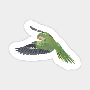 Monk Parakeet Parrot Magnet