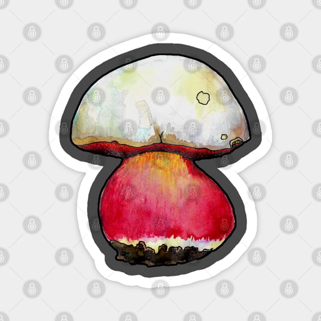 Satan's Bolete Magnet by ThisIsNotAnImageOfLoss