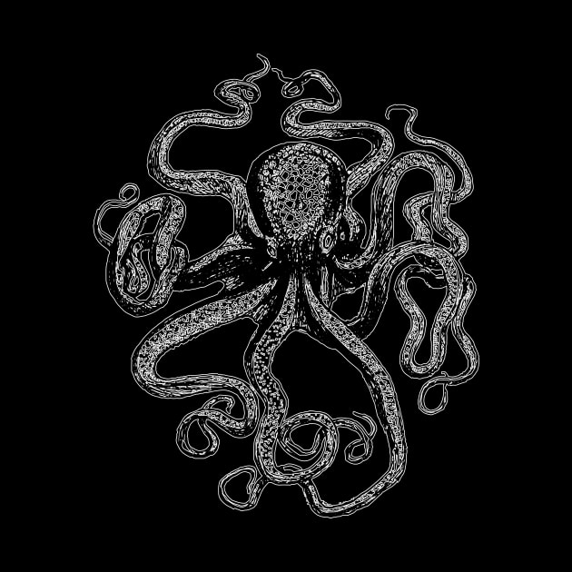 Vintage Octopus by n23tees